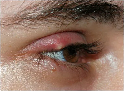 En 1952, pour Norman Taurog, avec qui est le Cabotin ?