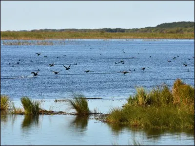 Quels pays bordent le lac de Khanka ?