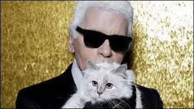 Personnalité : comment s'appelle la célèbre chatte de Karl Lagerfeld ?