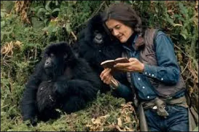 Personnalité : Quelle sous-espèce de gorille a étudié la célèbre primatologue Dian Fossey ?