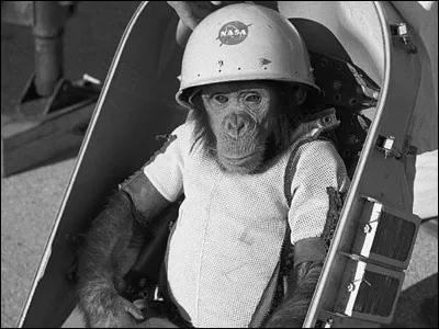 Histoire : Comment s'appelait le premier singe a être envoyé dans l'espace ?