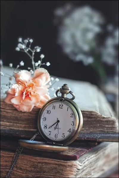 Dans le titre de son livre, à quelles fleurs Lisa See octroie-t-elle "Le Pavillon" ?