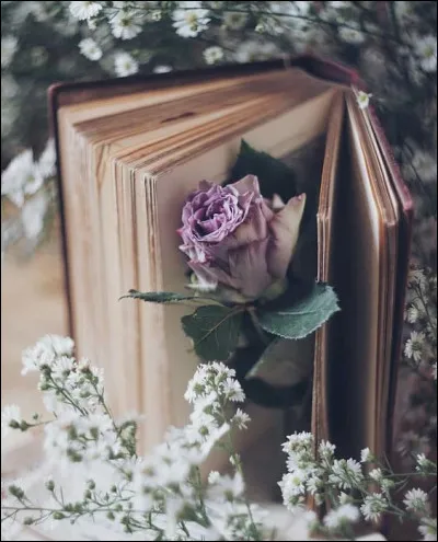 Quelle fleur est dans la vallée pour Balzac ?