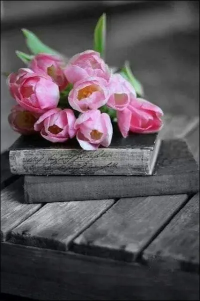 Et on termine avec le très émouvant roman de science-fiction de Daniel Keyes ? Que décerne-t-il à la petite souris Algernon ?