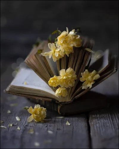 Quelles fleurs n'y aura-t-il pas pour Miss Blandish, dans le livre de James Hadley Chase ?