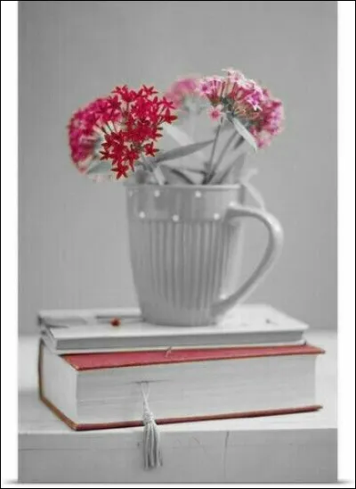 Quelle est la couleur du dahlia de James Ellroy ?