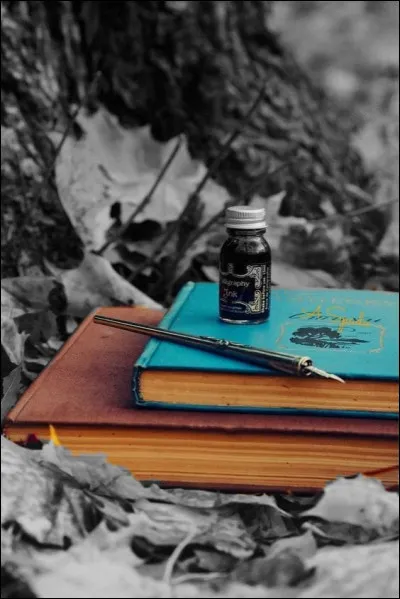 Quel nom de fleur a choisi Pierre Loti pour Madame ?