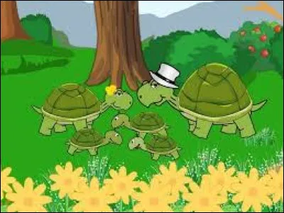 On ne verra jamais la famille tortue courir après quoi ?