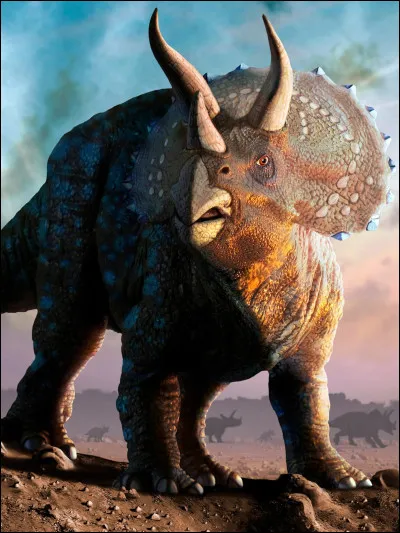 Connais-tu son nom ?