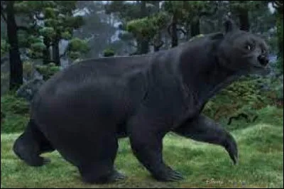 Art : Dans quel Disney peut-on voir la mère de l'héroïne changée en ours ?