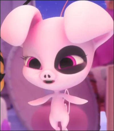 Dans quel objet habite Daizzi ?