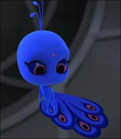 Dans quel objet habite Duusu ?