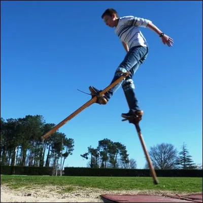 Quel &eacute;chassier doit sa couleur aux pigments contenus dans sa nourriture ?