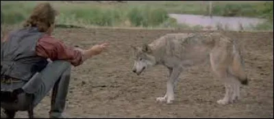 Art : Comment s'appelle le loup dans le film de Kevin Costner "Danse avec les loups" ?