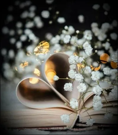 Retrouvez les fleurs du titre du livre d'Edita Morris :