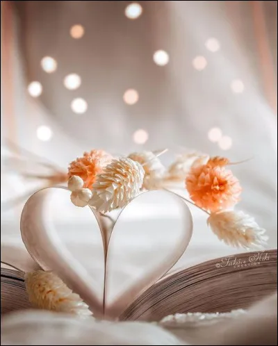 Comment était la tulipe de Jörg Kastner ?