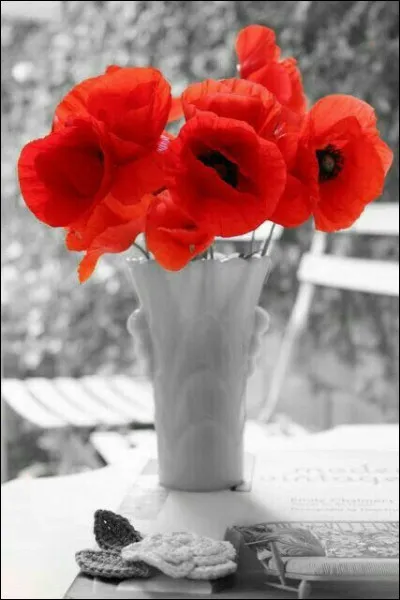 Quelle fleur était la femme dans le titre du livre de Noëlle Châtelet ?