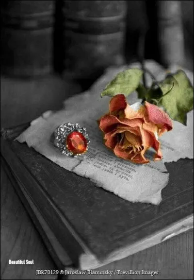 Avec quelle fleur était accompagnée "la rose" dans le titre du poème d'Aragon ?