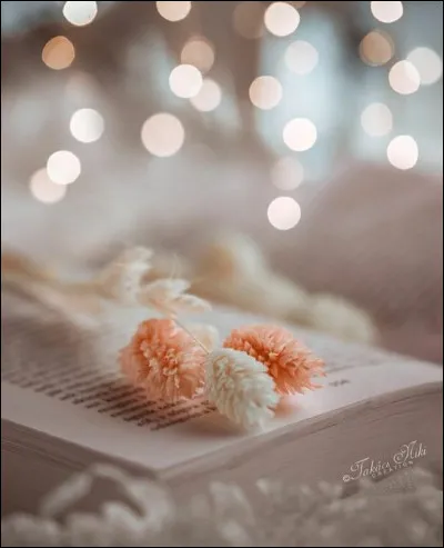 Lequel de ces poèmes ne fait pas partie des "Fleurs du Mal" ?