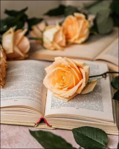 Comment étaient les roses d'Elsa Triolet ?