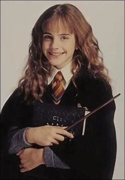 Avec qui Hermione se marie-t-elle ?