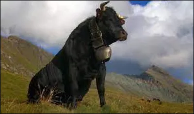 Culture : Complétez cette expression française : Parler français comme une vache...