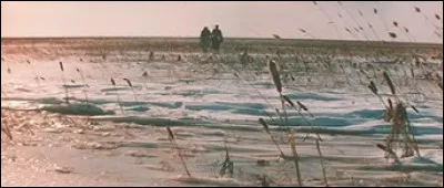 Quel est ce film onirique qui se déroule dans la taïga et a reçu l'Oscar du meilleur film étranger en 1976 ?