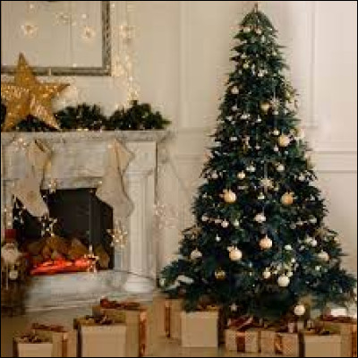 Quand le sapin doit-il être installé ?