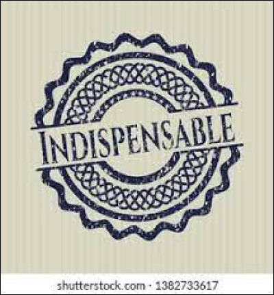 Selon la tradition, quest-ce qui est indispensable pour Noël ?