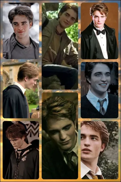 Dans quelle maison est Cedric Diggory ?