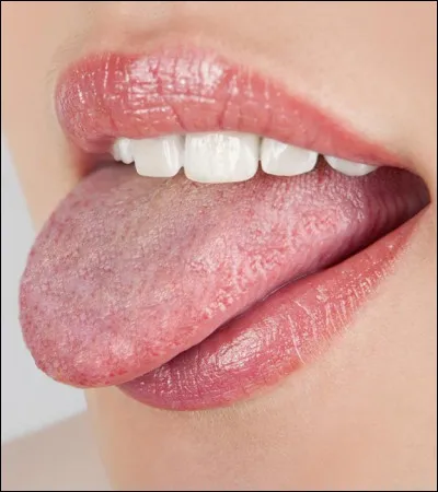 Comment dit-on langue ?