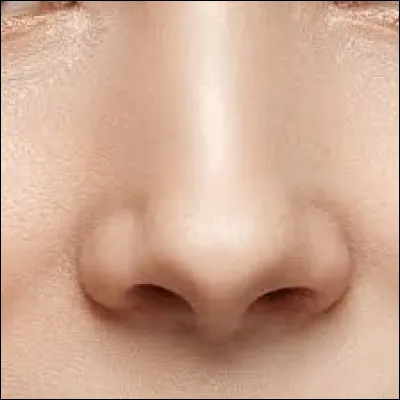 Comment dit-on nez ?