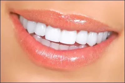 Comment dit-on dents ?