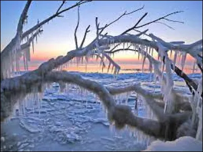 Quel sport peut-on faire dans la neige ?