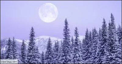 Comment s'appelle le personnage qui vient t'apporter des cadeaux en hiver ?