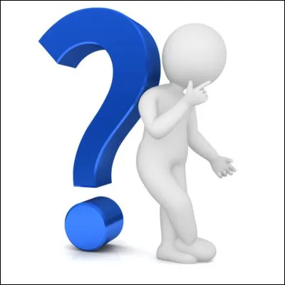 Pour finir, une petite devinette : Je suis Tintin, mais je ne suis pas Tintin. Je suis...