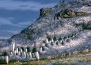 Quiz Les Crocodiles