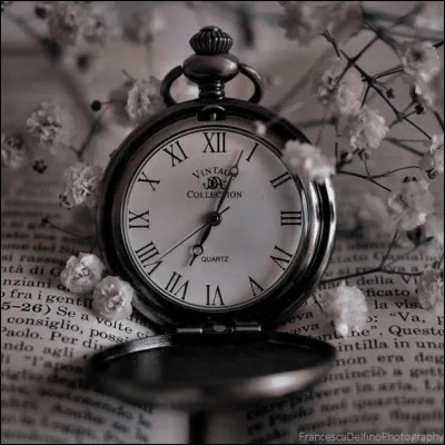 Qui a écrit "Arsène Lupin, les 8 coups de l'horloge" ?