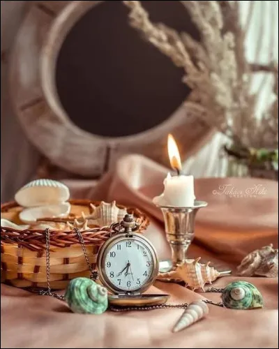 Qui a écrit le roman policier "Le Temps d'Anaïs" ?