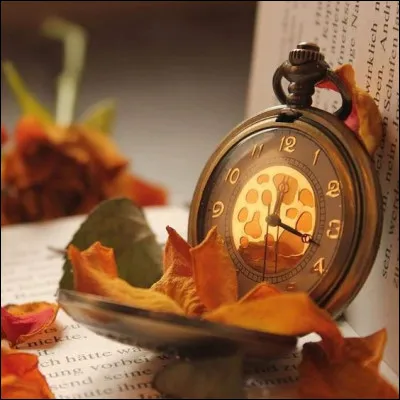 La dernière question sera mon petit cadeau ! Qui a écrit "À la recherche du temps perdu" ?