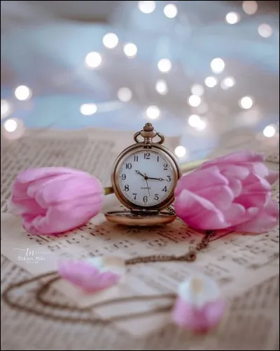 Qui est l'auteur du "Temps retrouvé" ?