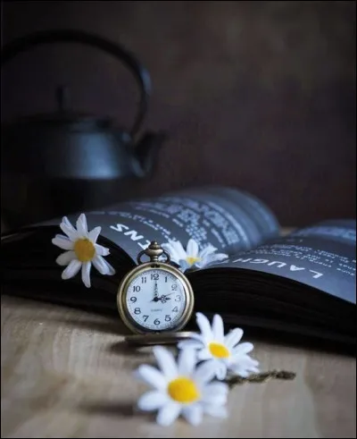 Quel homme, politique a relaté ses souvenirs personnels, faisant part de ses sentiments, dans son livre "Le Temps des Tempêtes" ?