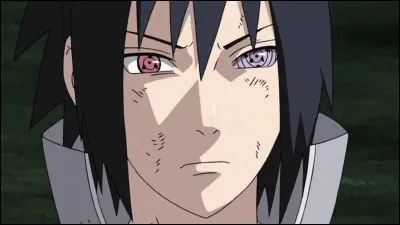 Le couple Sasuke et Karin est-il réel ?