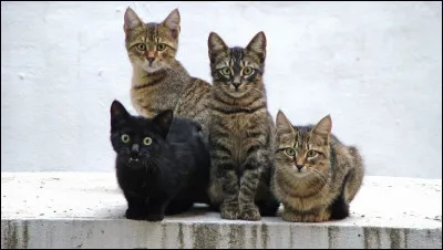 Et là, que préfères-tu ?