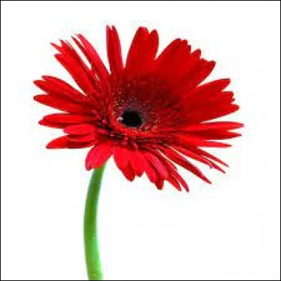 Comment te sens-tu ?