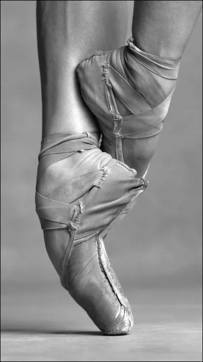 Quel est le nom de ces chaussures de danse ?