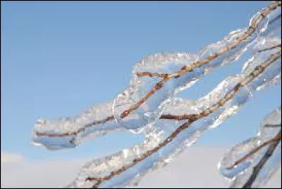 Le/l' ... est ce qui accompagne parfois les orages.