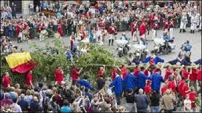 Culture : Quelle ancienne tradition bruxelloise consiste principalement à planter, chaque année le 9 août, un hêtre au carrefour de la rue des Sables et de la rue du Marais ?