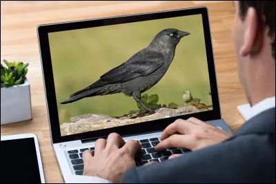 Quelle est la bonne recherche ?