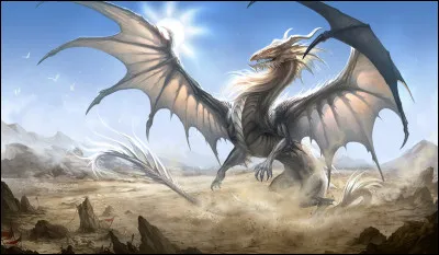 D'après vous, ce dragon est un dragon de...